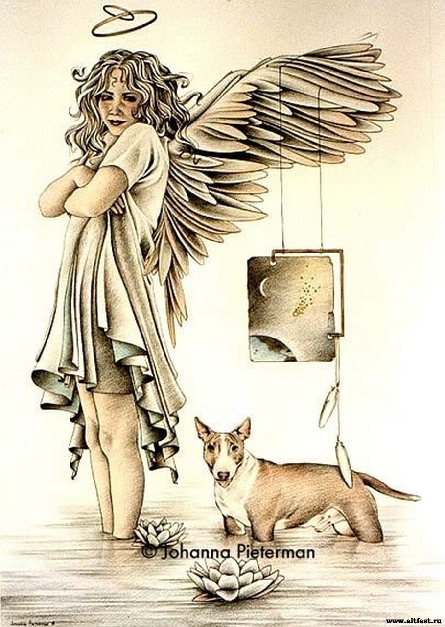 Angel dog. Художник Johanna Pieterman. Johanna Pieterman художник картинки. Иллюстрации нидерландской художницы Johanna Pieterman. Овчарка ангел.